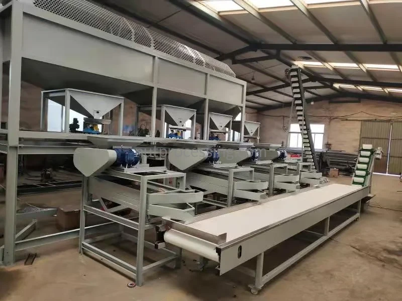 Almond Shelling Production Line